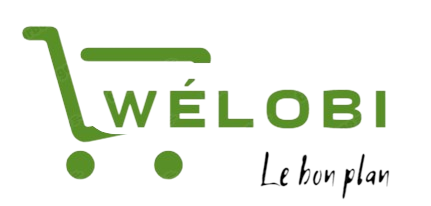 logo welobi (2)